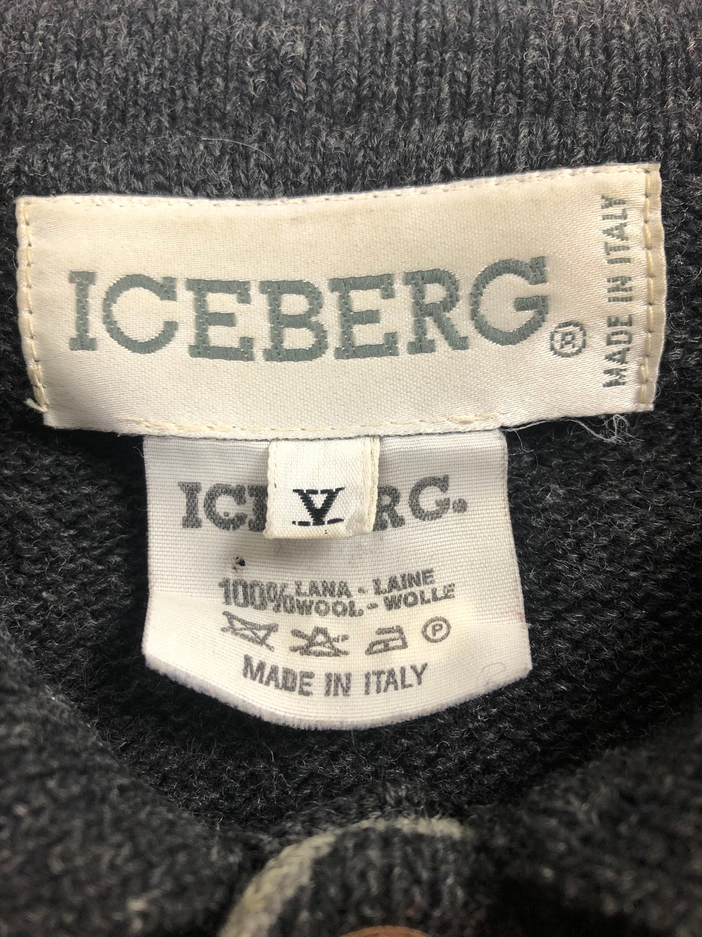 90s Iceberg Troyer (V / L-XL)